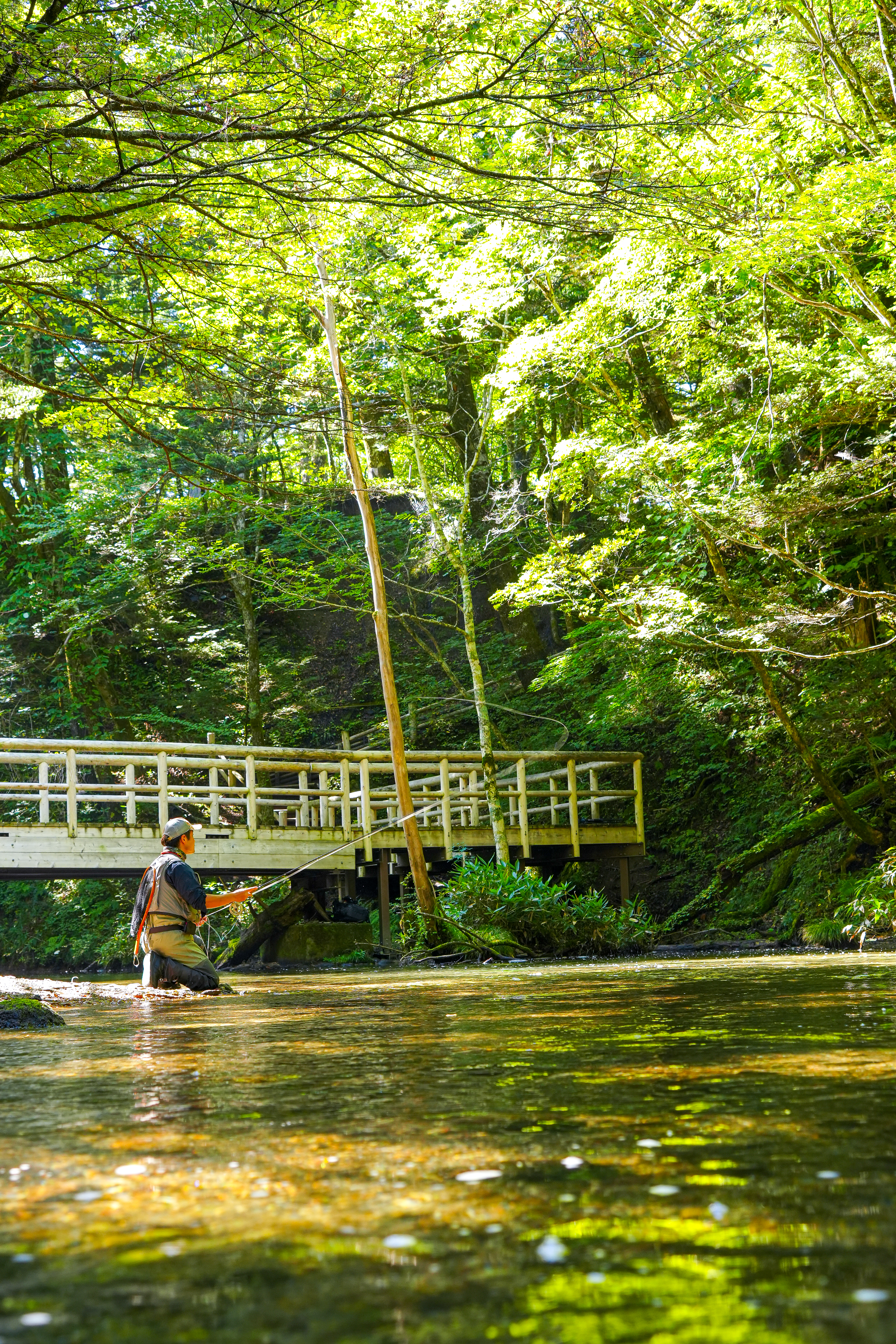 フライフィッシング